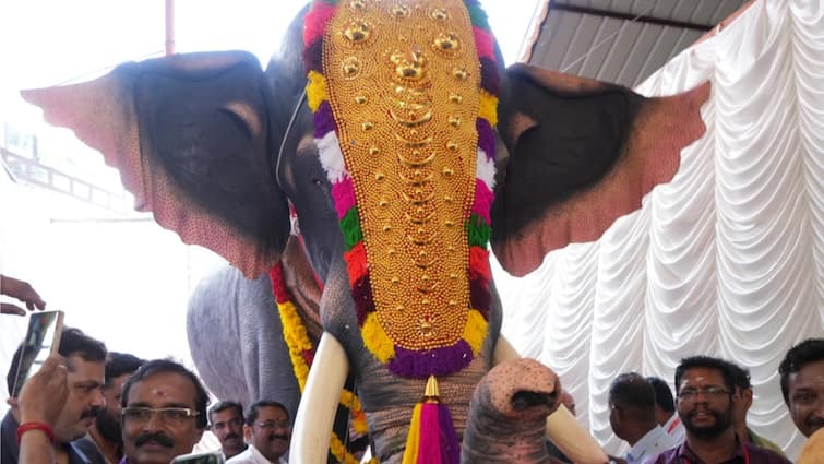 PETA India Gifts Mechanical Elephant To Kerala's Pournamikavu Temple With Actor Adah Sharma PETA India Gifts Mechanical Elephant To Kerala's Pournamikavu Temple With Actor Adah Sharma