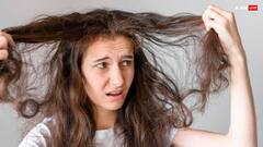 Hair Care Tips: बालों की फ्रिजीनेस से पाएं छुटकारा, घर पर बनाएं ये खास हेयर मास्क