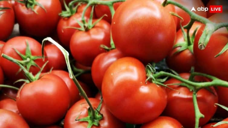Tomato Prices: टमाटर ने बनाया शतक, बारिश में स्थिति और बिगड़ने की आशंका