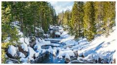 आप हैं शिव भक्त तो हिमाचल में इन जगहों पर एक बार दर्शन करने जरूर जाएं