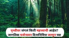 World Rainforest Day 2024: 'नुसतचं म्हणतो धरणीमाय, पण तिच्यासाठी करतो काय? जंगले किती महत्त्वाची आहेत? जागतिक पर्जन्यवन दिनानिमित्त जाणून घ्या