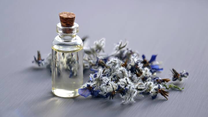 Contribuições de: Ridhima Kansal, diretora, Rosemoore (fonte da imagem: Canva)