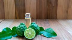 10 Scented Candle Essences For Stress Relief And Better Sleep