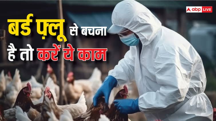 Bird Flu बन सकती है खतरनाक महामारी ! तुरंत इन पक्षियों से हो जाएं सावधान