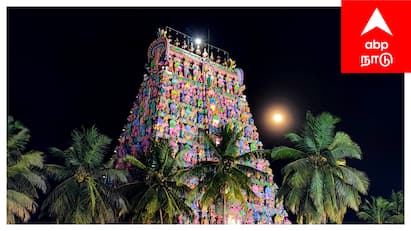 Mayiladuthurai mayuranathar temple thiruvelakku pooja - TNN சிவபெருமானும், பார்வதி தேவியும் மயில் உருவம் எடுத்த மயிலாடுதுறை மாயூரநாதர் திருக்கோயில் திருவிளக்கு பூஜை