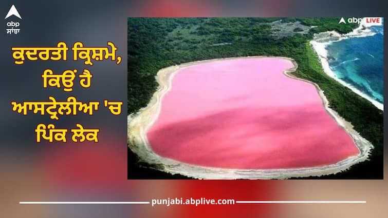 why are there pink lakes in australia what is reason behind it Pink Lake: ਕੁਦਰਤੀ ਕ੍ਰਿਸ਼ਮੇ, ਕਿਉਂ ਹੈ ਆਸਟ੍ਰੇਲੀਆ 'ਚ ਪਿੰਕ ਲੇਕ, ਜਾਣੋ ਇਸਦੇ ਪਿੱਛੇ ਕੀ ਵਜ੍ਹਾ