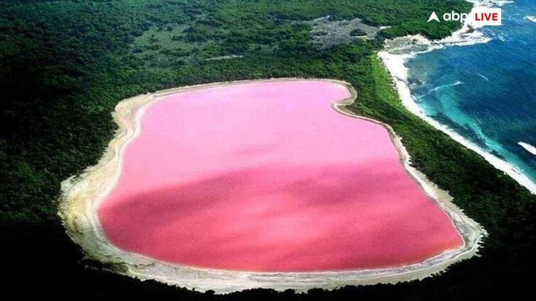 Why are there pink lakes in Australia what is the reason behind it ऑस्ट्रेलिया में क्यों हैं पिंक लेक, इसके पीछे क्या है कारण