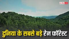 ये हैं दुनिया के 5 सबसे बड़े रेन फारेस्ट, देख लें लिस्ट