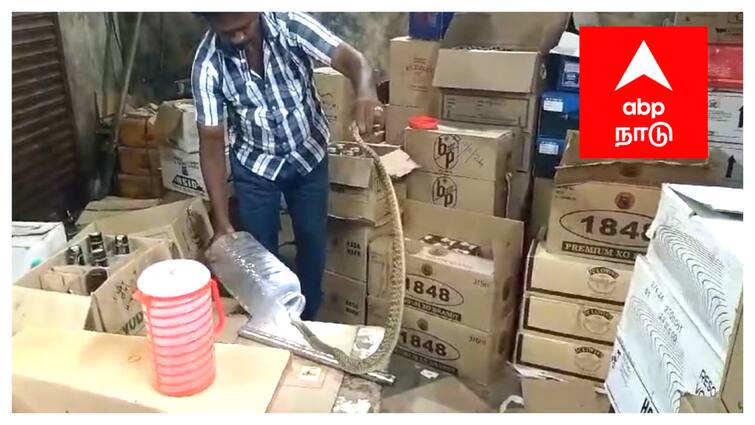 Mayiladuthurai news snake entered the Tasmac shop near Sirkazhi - TNN டாஸ்மாக் கடைக்குள்  அந்த சத்தம்... பதறிய ஊழியர்கள்.. உடனே வந்த பாம்பு பாண்டியன்