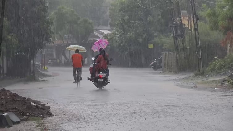 rainfall update seven talukas vapi highest છેલ્લા 4 કલાકમાં સાત તાલુકામાં મેઘમહેર, વાપીમાં સૌથી વધુ પોણા બે ઇંચ ખાબક્યો