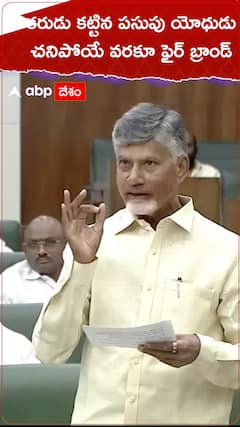 కరుడు కట్టిన పసుపు యోధుడు
