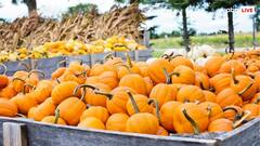 ऐसे भारत में हुई तरबूज के रिश्तेदार कद्दू की एंट्री