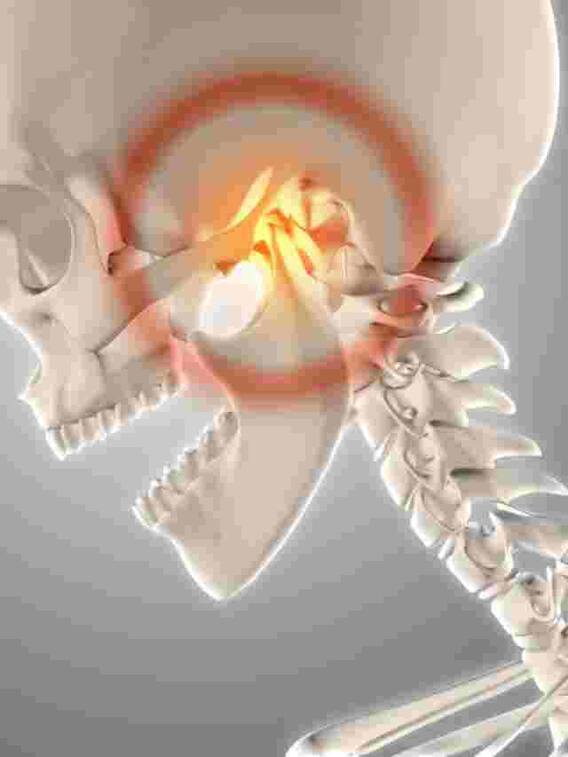 ये है शरीर की सबसे छोटी हड्डी