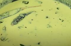 Cooking Tips : தேங்காய் சட்னி மீந்து போச்சா? இதை சேர்த்தால் மோர் குழம்பாகிவிடும்!