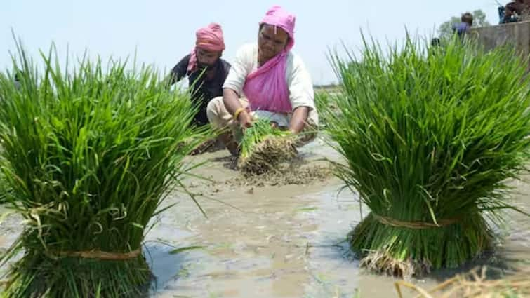 telangana cm revanth reddy Farmers loan of Rs 2 lakh will waive off soon किसानों को बड़ी सौगात, इस राज्य में 2 लाख रुपये के कर्जमाफी का ऐलान, जानें किन्हें मिलेगा लाभ