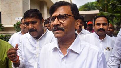 'शरद पवार का स्ट्राइक रेट ज्यादा, लेकिन...', महाराष्ट्र विधानसभा चुनाव से पहले सीट शेयरिंग पर संजय राउत की MVA को दो टूक 'शरद पवार का स्ट्राइक रेट ज्यादा, लेकिन...', महाराष्ट्र विधानसभा चुनाव से पहले सीट शेयरिंग पर संजय राउत की MVA को दो टूक