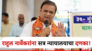 राहुल नार्वेकर यांना सत्र न्यायालयाचा दणका,  3 हजारांचा दंड ठोठावला, मविआ काळातील आंदोलन भोवणार?