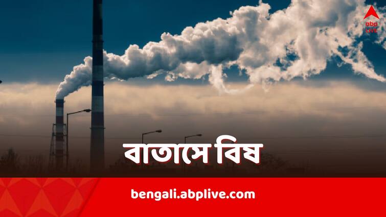 Air pollution is the second risk factor for death in world Air Pollution Report: একবছরে বায়ুদূষণে মৃত্যু ৮১ লক্ষ, ছেলে-বুড়ো, বাদ নেই কেউ