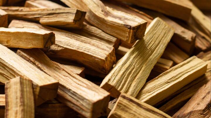 Sândalo: O sândalo tem um cheiro rico e amadeirado que tem efeitos calmantes quando se está ancorado. É frequentemente empregado como prática de meditação ou relaxamento para ajudar a tornar o ambiente pacífico. (Fonte da imagem: Canva)