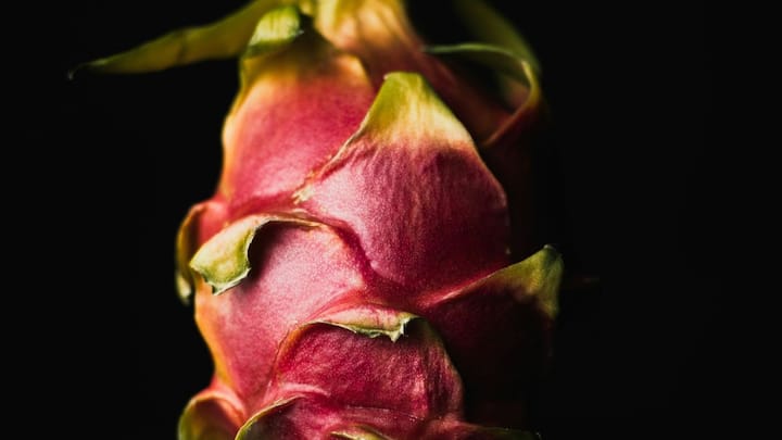 இதிலுள்ள குறைந்த கிளைசிமிக் குறியீடு காரணமாக இதனை நீரிழிவு நோயாளிகள் தாராளமாக சாப்பிடலாம்.  போதுமான அளவு சாப்பிடுவது நல்லது. GI குறியீடு இதற்கு அதிகமாகவும் இல்லாமல் குறைவாகவும் இல்லாமல் நடுநிலையாக இருக்க வேண்டும்.  அதனால் டிராகன் பழத்தை உட்கொள்வதை கட்டுக்குள் வைத்திருப்பது நல்லது.