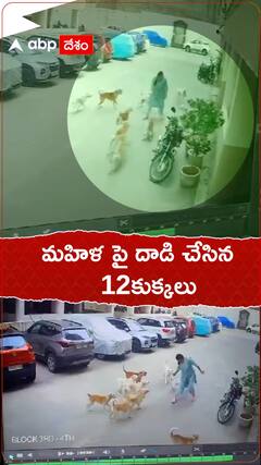 మహిళపై దాడి చేసిన 12 కుక్కలు..!