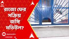 রাজ্যে ফের সক্রিয় বাংলাদেশের জঙ্গি মডিউল?