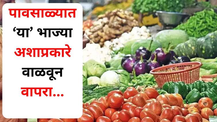 Food Monsoon Hacks lifestyle marathi news prices of vegetables increase during monsoon use these vegetables by drying them like this Food : पावसाळ्यात भाज्यांचे भाव वाढतात, 'या' भाज्या अशाप्रकारे वाळवून वापरा, महागाईच्या तडाख्यापासून वाचाल