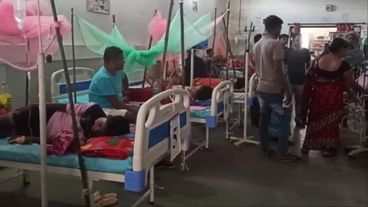 Bastar dengue case increasing 30 positives found in Dantewada panic in health department ann Dengue Cases: बस्तर में तेजी से बढ़ रहा डेंगू का प्रकोप, दंतेवाड़ा में मिले 30 पॉजिटिव, स्वास्थ्य विभाग में मचा हड़कंप