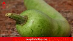 Ash Gourd Juice:চালকুমড়োর রস কেন নিয়মিত পান করবেন?