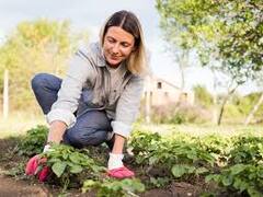 Fitness Tips: जिम के हजारों रुपए बच जाएंगे, अगर घर में कर लेंगे ये 6 काम, चुटकियों में बर्न होगी कैलोरी, हो जाएंगे फिट एंड फाइन