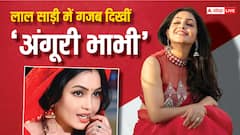 लाल साड़ी में 'अंगूरी भाभी' ने ढाया कहर, तस्वीरें देख फैंस हुए फिदा, आपने देखीं क्या?