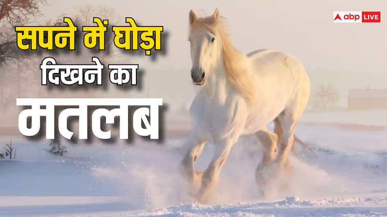 dream interpretation swapna shastra seeing a horse in dream meaning Dream Interpretation: कामयाबी का संकेत है घोड़ा, जानें सपने में दिखने का क्या होता है मतलब