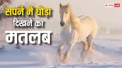 कामयाबी का संकेत है घोड़ा, जानें सपने में दिखने का क्या होता है मतलब