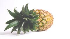 ये है दुनिया का सबसे महंगा अनानास, जानें आखिर क्या है इसकी खासियत