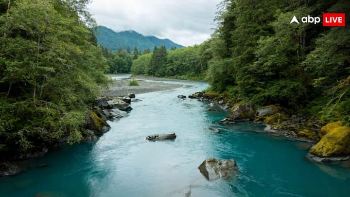 Most Rivers In A Country: भारत में गंगा, यमुना,ब्रह्मपुत्र जैसी और भी कई नदियां है. लेकिन  क्या आपको पता है दुनिया के किस देश में सबसे ज्यादा नदियां हैं. नाम सुनकर नहीं होगा यकीन.