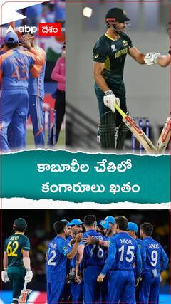 కొంపలు తేలగొట్టేశారు... కాబూలీల చేతిలో కంగారూలు ఖతం