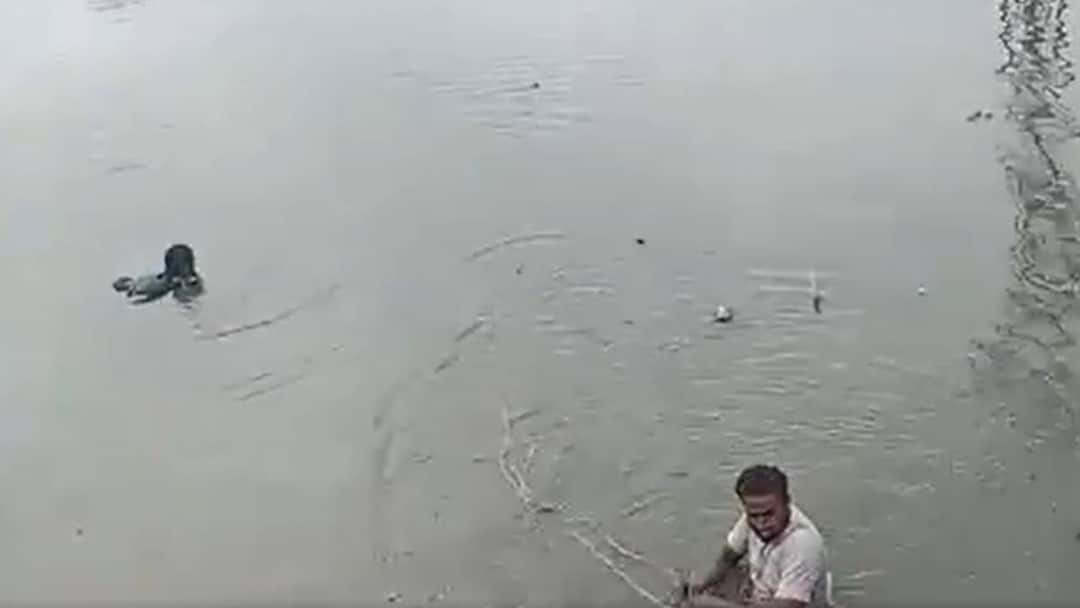 Medchal News: చెరువులో దూకి మహిళ ఆత్మహత్యాయత్నం, ప్రాణాలకు తెగించి కాపాడిన రిపోర్టర్ Youtube reporter saved a woman who jumped into the pond in Medchal District Medchal News: చెరువులో దూకి మహిళ ఆత్మహత్యాయత్నం, ప్రాణాలకు తెగించి కాపాడిన రిపోర్టర్