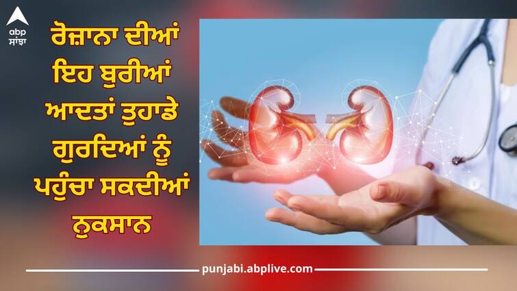 Health News: These bad daily habits can damage your kidneys read this Health News: ਰੋਜ਼ਾਨਾ ਦੀਆਂ ਇਹ ਬੁਰੀਆਂ ਆਦਤਾਂ ਤੁਹਾਡੇ ਗੁਰਦਿਆਂ ਨੂੰ ਪਹੁੰਚਾ ਸਕਦੀਆਂ ਨੁਕਸਾਨ, ਜਾਣੋ ਸਾਹਿਤ ਮਾਹਿਰ ਕੀ ਕਹਿੰਦੇ