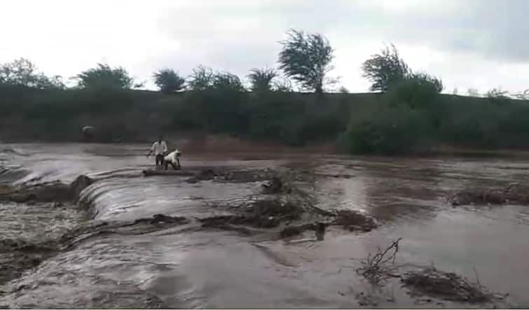 Heavy rains in Akola Pthar river floods in akola ain news maharashtra rain news अकोल्यात पावसाची जोरदार बॅटिंग, पठार नदीला पूर, पनोरी आणि जणोरी गावांचा संपर्क तुटला
