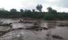 अकोल्यात पावसाची जोरदार बॅटिंग, पठार नदीला पूर, पनोरी आणि जणोरी गावांचा संपर्क तुटला