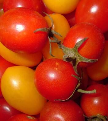 ਮਹਿੰਗਾਈ ਨਾਲ ਲੋਕਾਂ ਦਾ ਬੁਰਾ ਹਾਲ, ਟਮਾਟਰ ਹੋਇਆ 100 ਤੋਂ ਪਾਰ