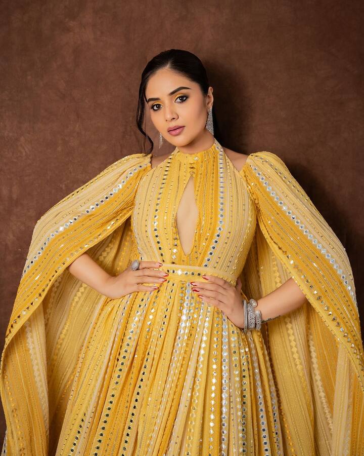 శ్రీముఖి ఓ షో చేస్తుందంటే.. కచ్చితంగా మంచి ప్రేక్షకాదరణ పొందుతుందని నిర్వాహకులకు కాన్ఫిడెన్స్ వచ్చేస్తుంది. Photo Credit: Sreemukhi/Instagram