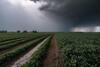 Gujarat forecast Rain: આગામી ત્રણ કલાકમાં ગુજરાતના જિલ્લામાં તૂટી પડશે વરસાદ, હવામાન વિભાગની આગાહી