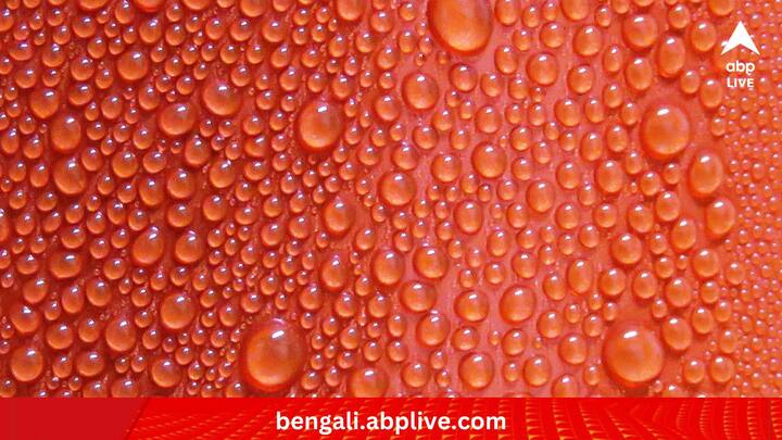 দেহের অভ্যন্তরীণ তাপমাত্রা হঠাৎ করে ভীষণ বেড়ে গেলে ভয়ঙ্কর ঘাম হতে থাকে। ফল? মারাত্মক জলশূন্যতা যা কিনা প্রাণঘাতী হয়ে দাঁড়াতে পারে। (ছবি:PIXABAY)