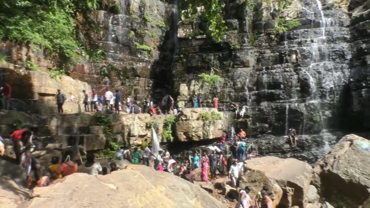 Talakona Waterfalls: ప్రకృతి అందం తలకోనకే సొంతం, 300 అడుగుల ఎత్తు నుంచి జాలువారే ఈ జలపాతం చూడతరమా!