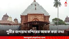 Puri Jagannath Temple: পুরীর জগন্নাথ মন্দিরের কিছু আশ্চর্যজনক তথ্য, জানলে অবাক হতে হয়