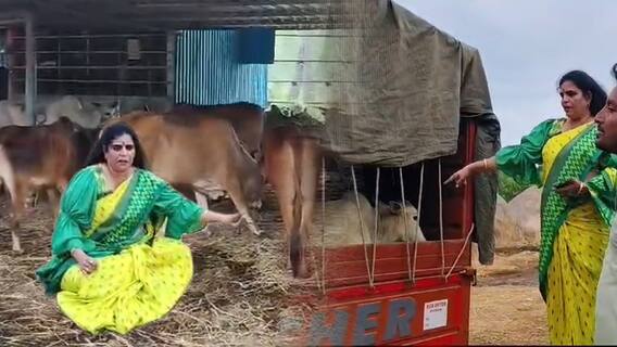 Karate Kalyani Protest on Cow Slaughter | గోవులను అక్రమంగా తరలిస్తున్నారంటూ కరాటే కళ్యాణి ఆందోళన
