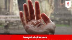খটখটে শুকনো উইকএন্ড, বঙ্গবাসীকে স্বস্তি দিতে কবে থেকে টানা বৃষ্টি, জানাল আবহাওয়া দফতর