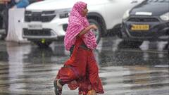 Indore Weather Today: इंदौर में झमाझम बरसे बदरा, गर्मी-उमस से मिली राहत, अब आगे ऐसा रहेगा मौसम