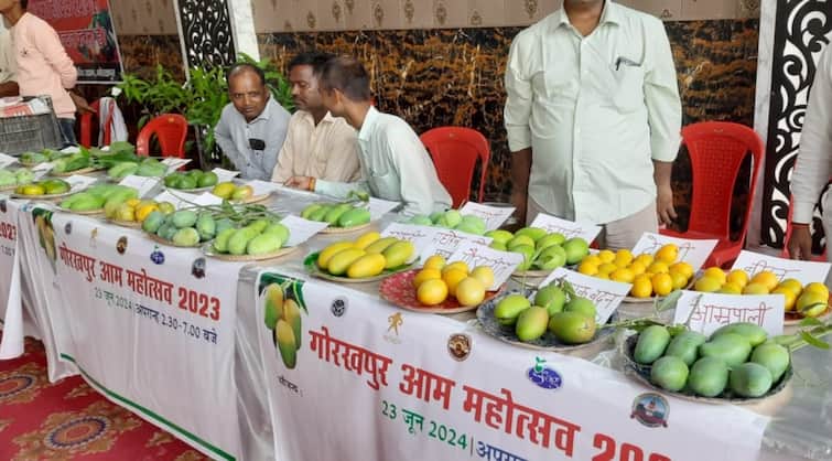 Gorakhpur News Mango festival organized by Intake Many varieties of mango were present in festival ann Mango Festival: गोरखपुर आम महोत्सव में दिखीं आम की कई वैरायटियां, आम से बनने वाली रेसिपी का लोगों ने चखा स्वाद